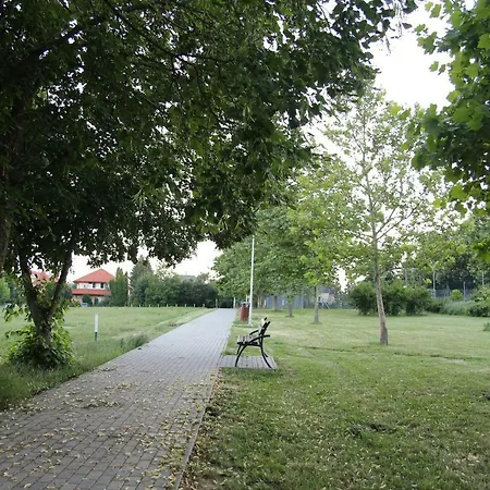 With Swing Apartman *