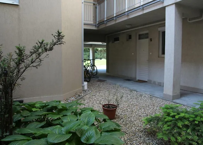 Lägenhet With Swing *