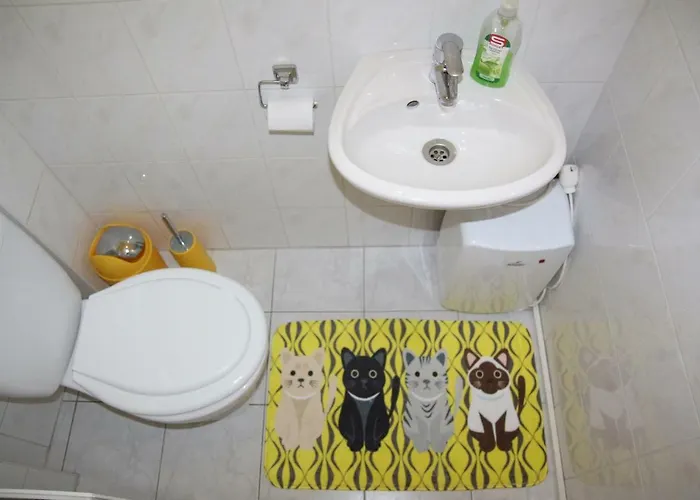 Apartment With Swing